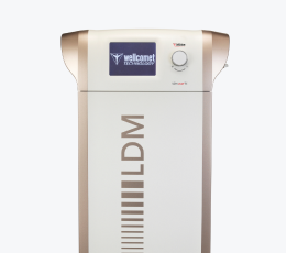 LDM